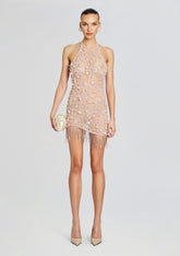 Livana Embellished Dress
