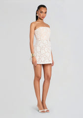 Sophia Lace Mini Dress