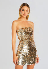 Nolia Sequin Embellished Dress