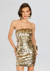 Nolia Sequin Embellished Dress